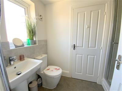 Picture 24